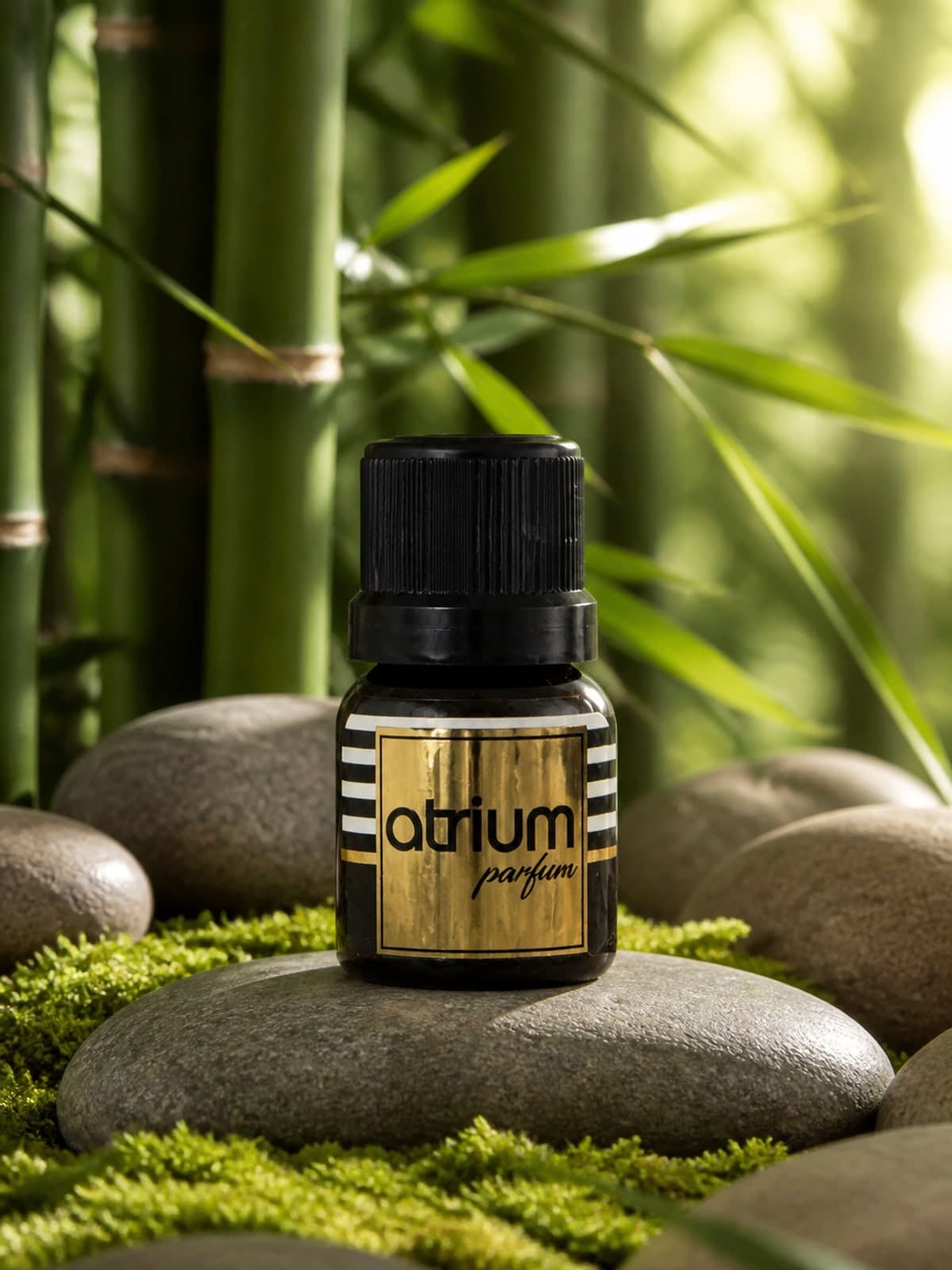 Bamboo